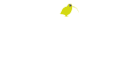Logo Agence web Kiwik